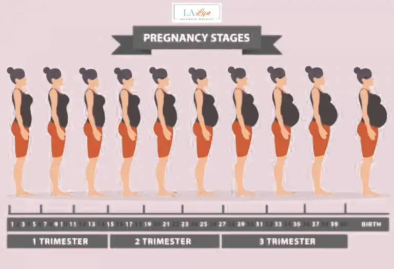 First Trimester (Weeks 1–12): Early Changes You Might Not Notice Northamptonshire